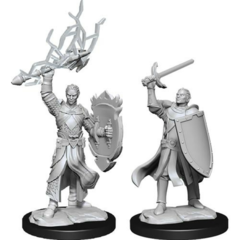 Half Elf Paladin - Male WZK90230 - D&D Nolzur's Marvelous Miniatures